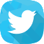 twitter icon